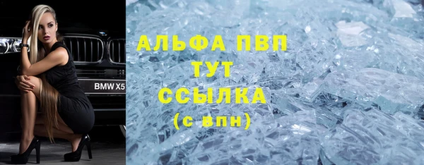 стаф Арсеньев