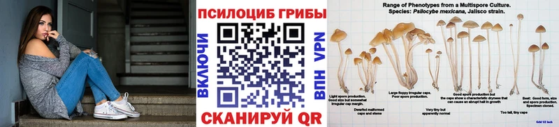 Псилоцибиновые грибы прущие грибы  Сурск 